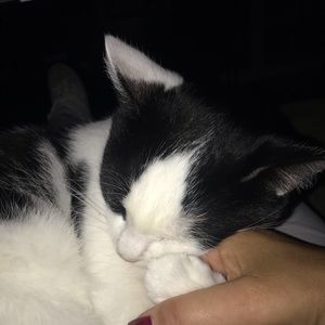 Meet your Posher, Reed